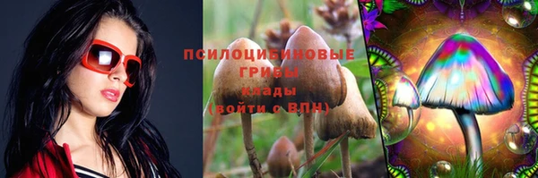 jwh Гусь-Хрустальный