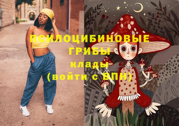 jwh Гусь-Хрустальный