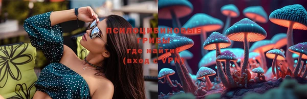 крисы Нефтекумск