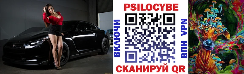 Псилоцибиновые грибы Cubensis  Полесск 